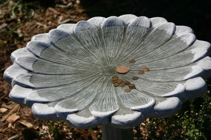 7 copper pennies in a bird bath