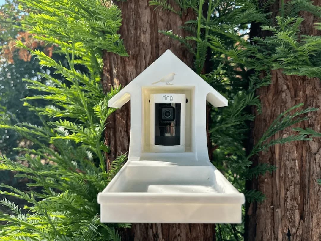 3d printed ring doorbell bird feeder camera