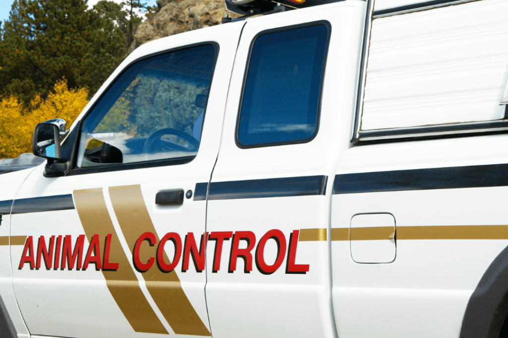 animal control truck