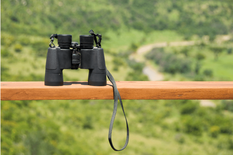 binoculars on fence