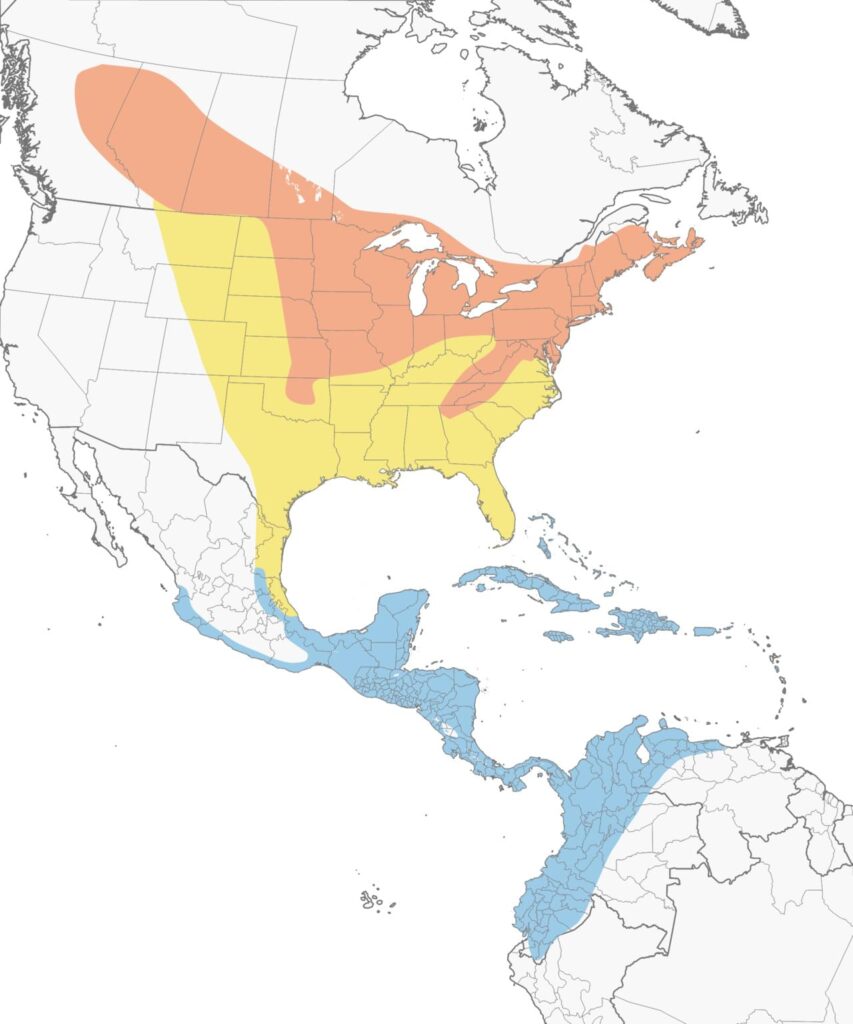 Red breasted grosbeak migration map