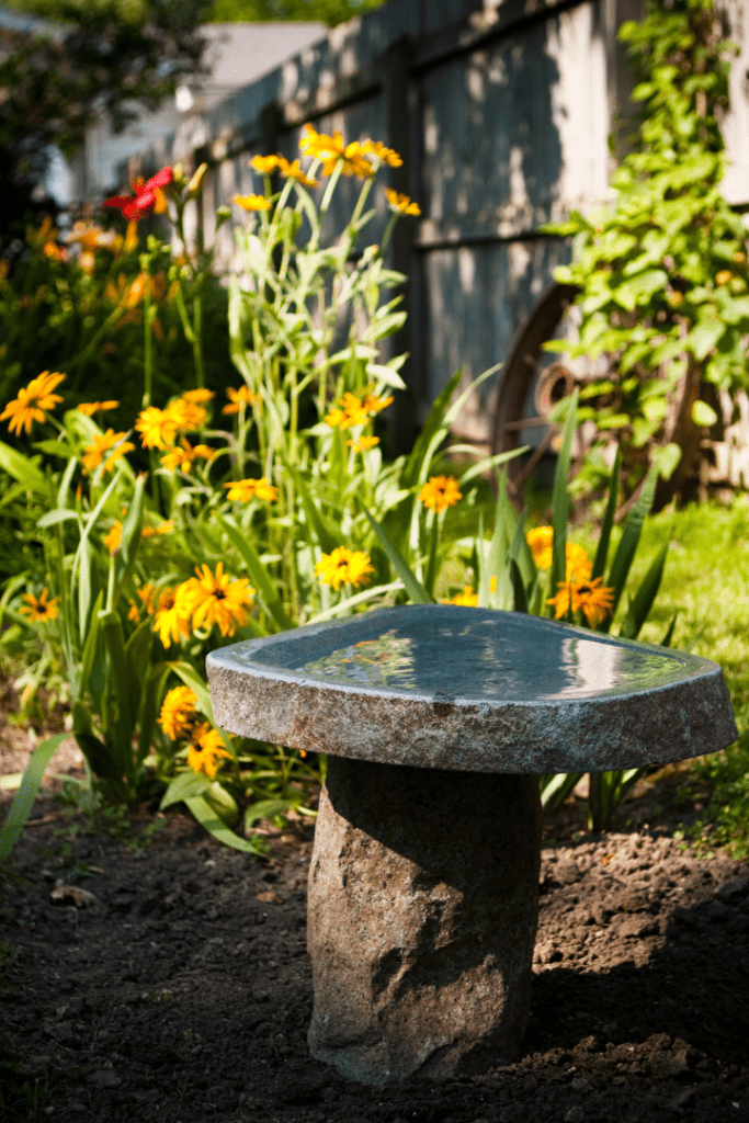 bird bath with flowers around