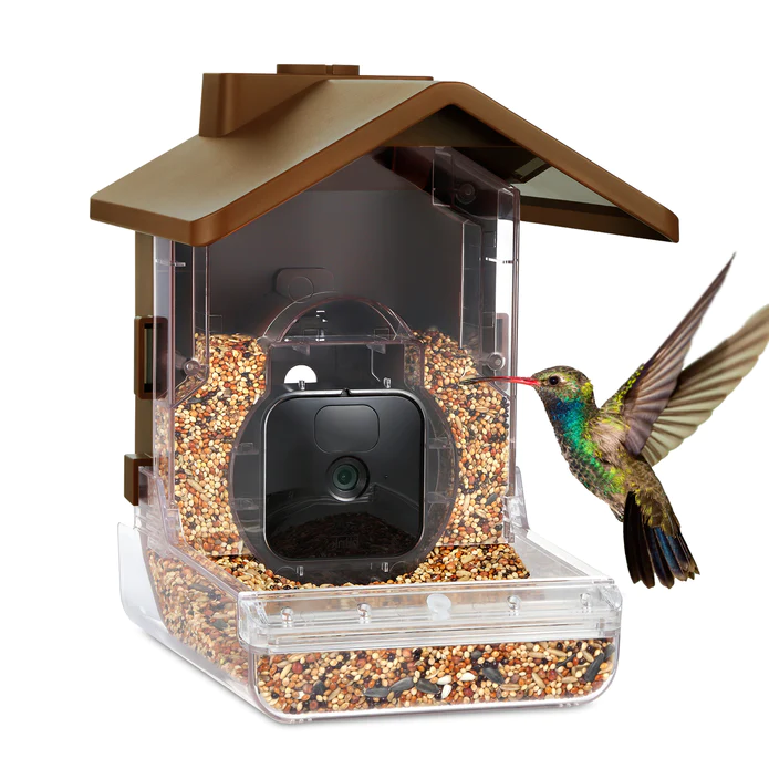 Wasserstein Bird Feeder Camera with blink camera