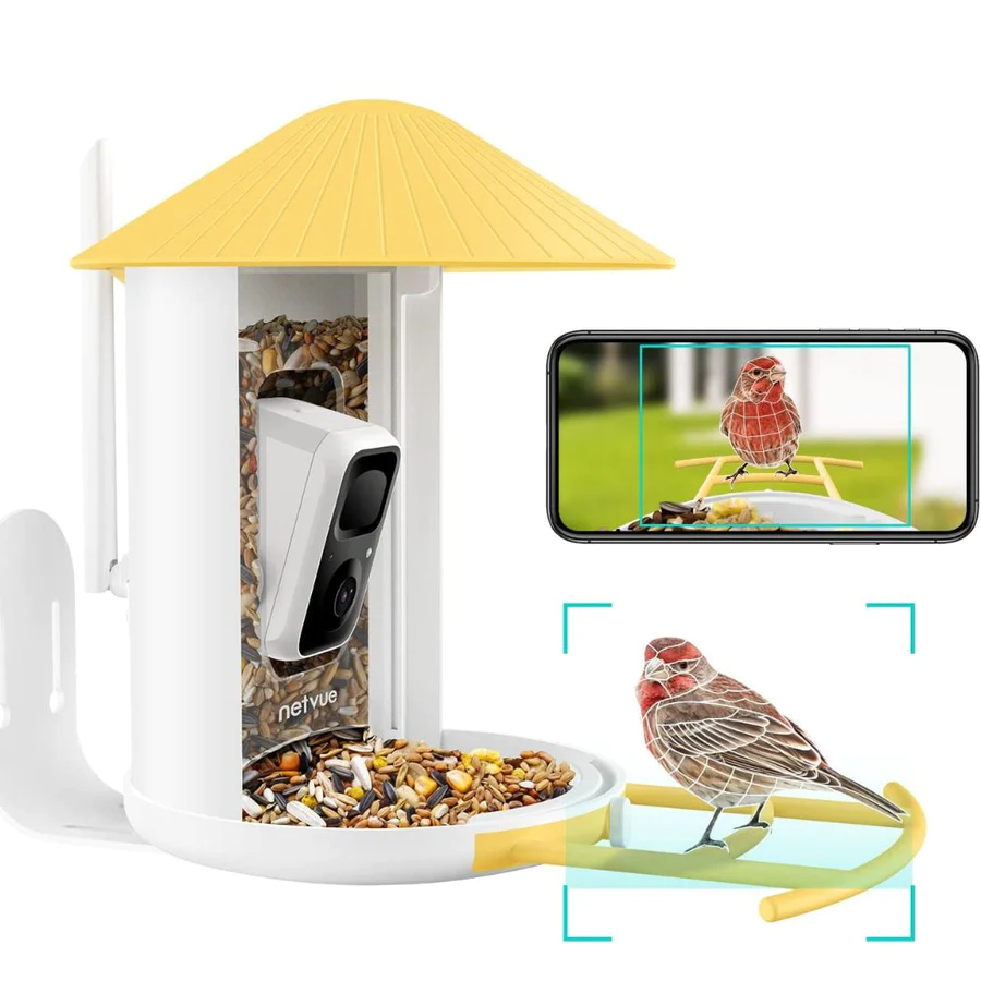 Netvue Birdfy video bird feeder