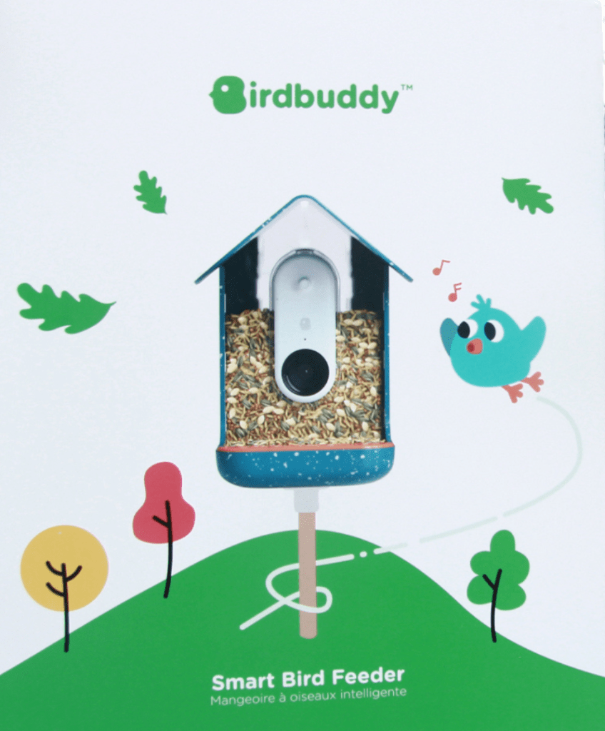 bird buddy box