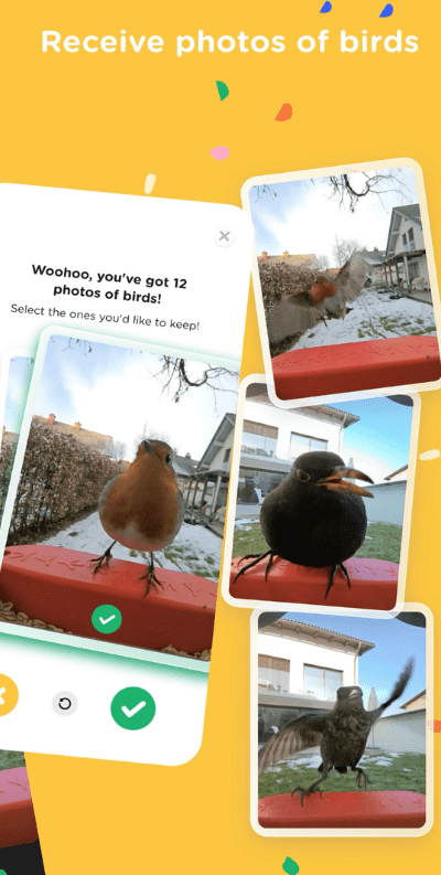 bird buddy app