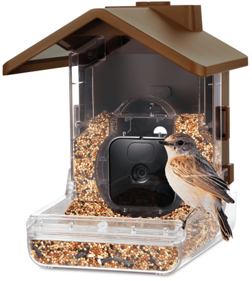 Wasserstein Bird Feeder Camera Case with sparrow on it