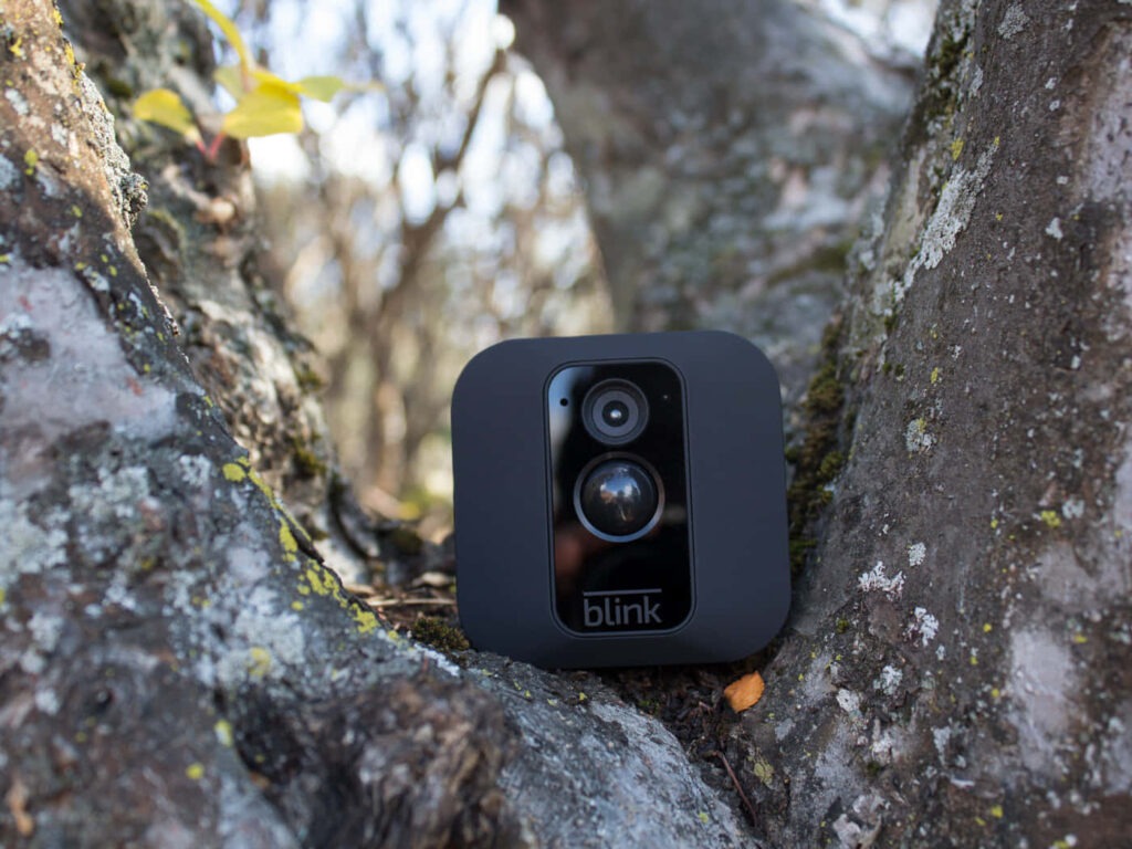 Blink Outdoor Security Camera sitting in a tree